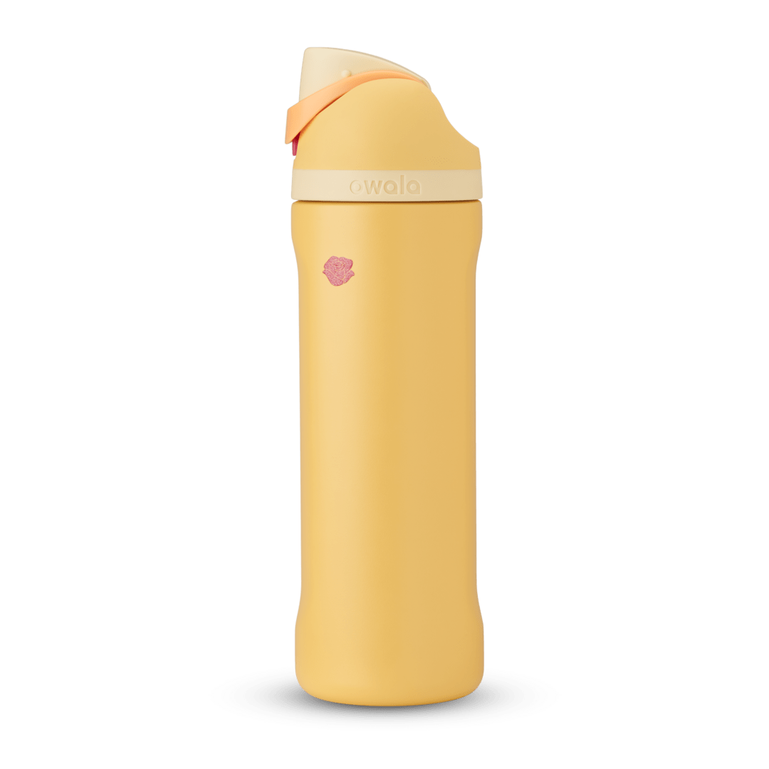 Disney Princess Collection Water Bottle G1UB3