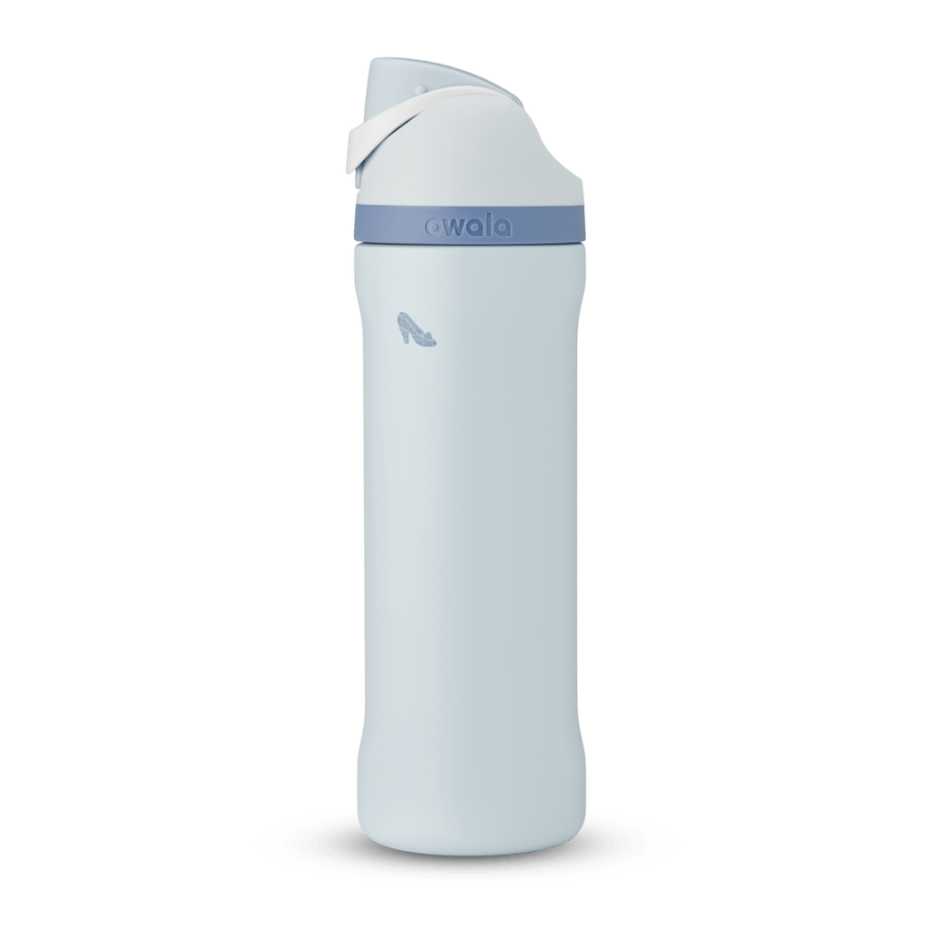 Disney Princess Collection Water Bottle G1UB3