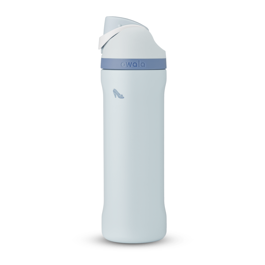 Disney Princess Collection Water Bottle G1UB3