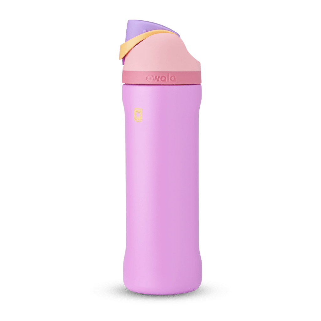 Disney Princess Collection Water Bottle G1UB3