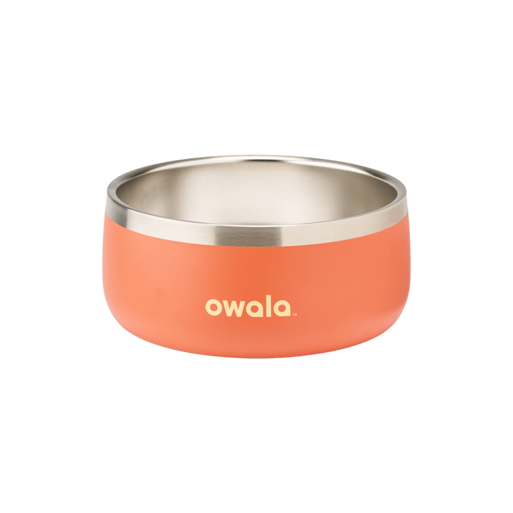 Pet Bowl Water Bottle MB3KQE