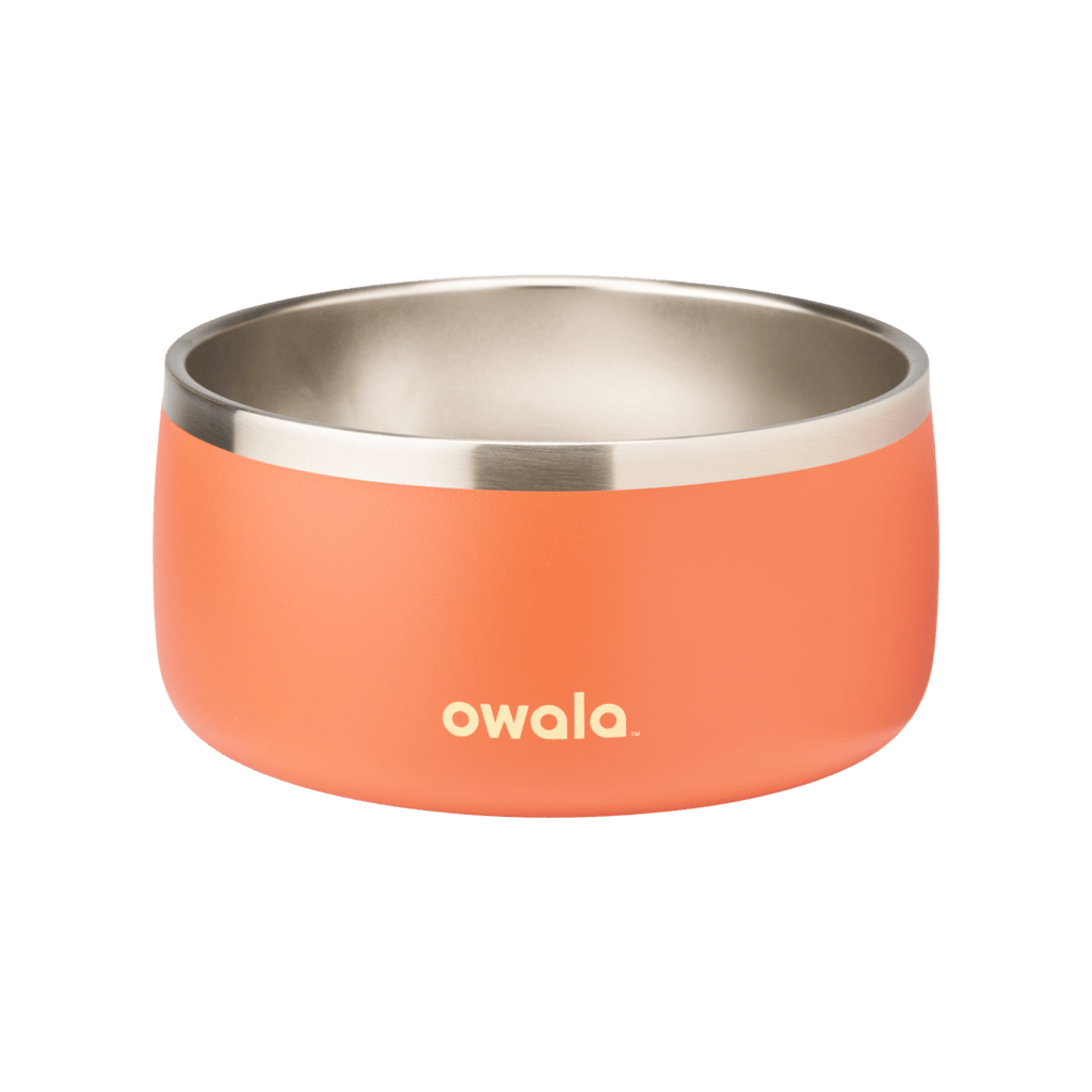 Pet Bowl Water Bottle MB3KQE