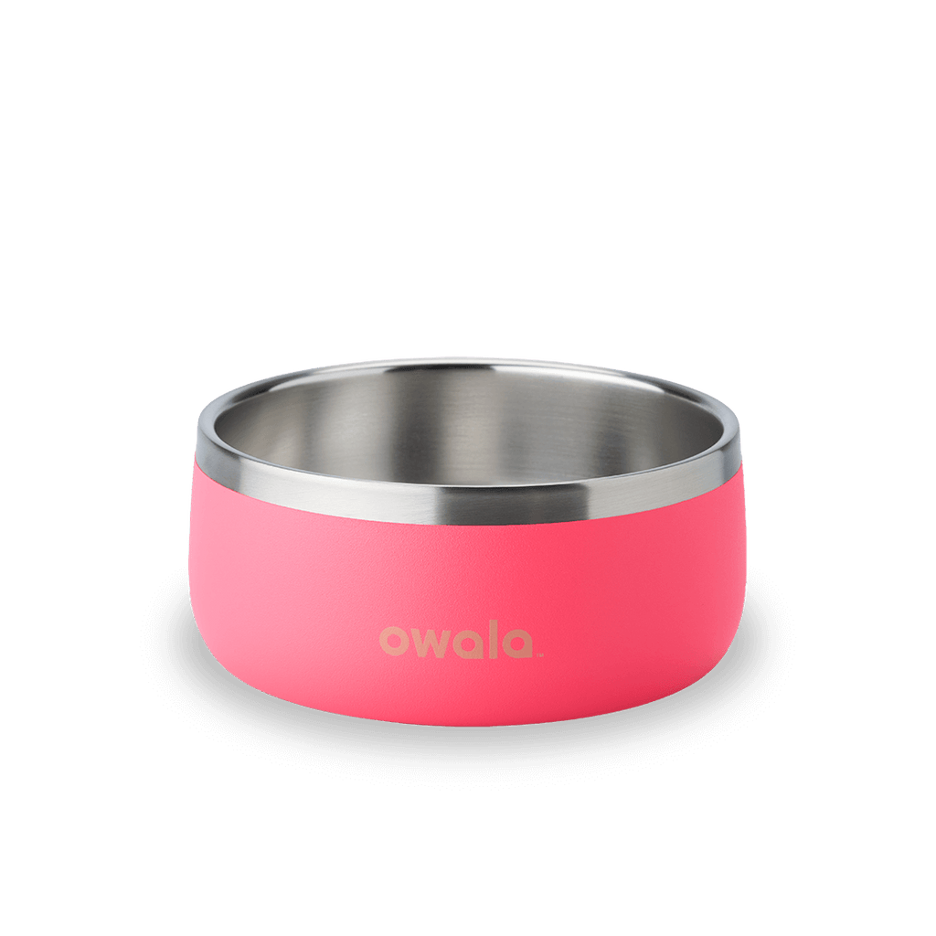 Pet Bowl Water Bottle MB3KQE
