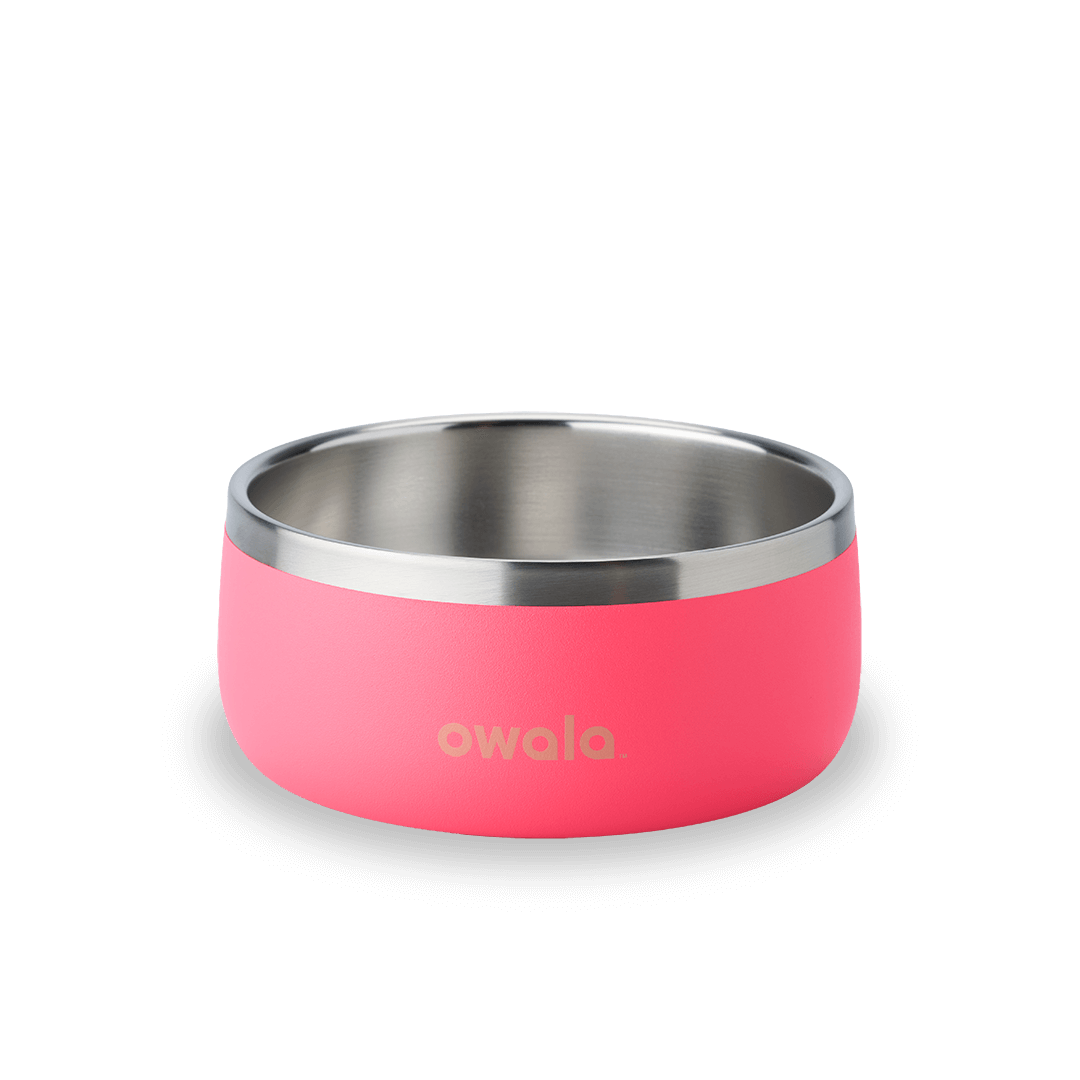 Pet Bowl Water Bottle MB3KQE