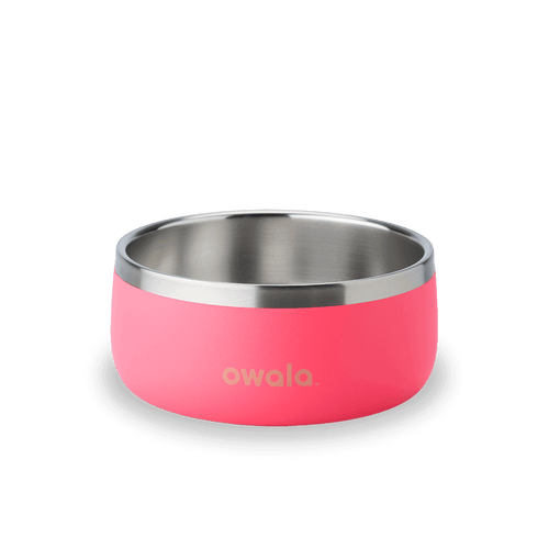 Owala pink 3 cup stainless steel pet bowl