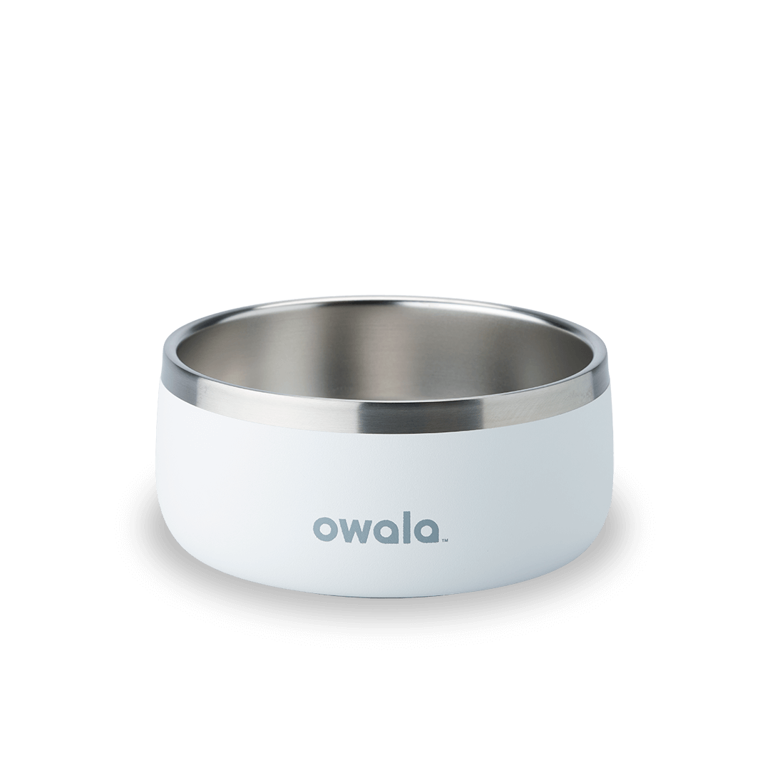 Pet Bowl Water Bottle MB3KQE