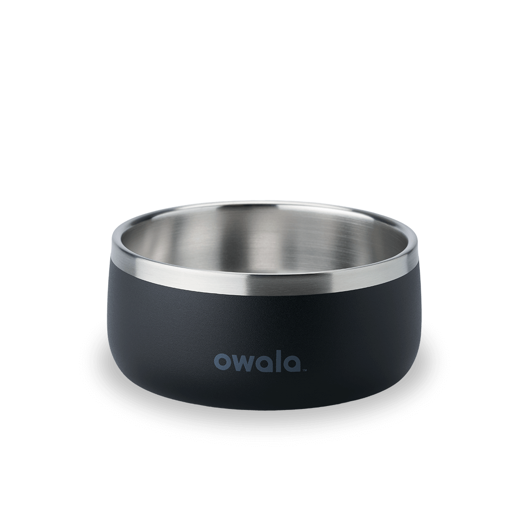 Pet Bowl Water Bottle MB3KQE
