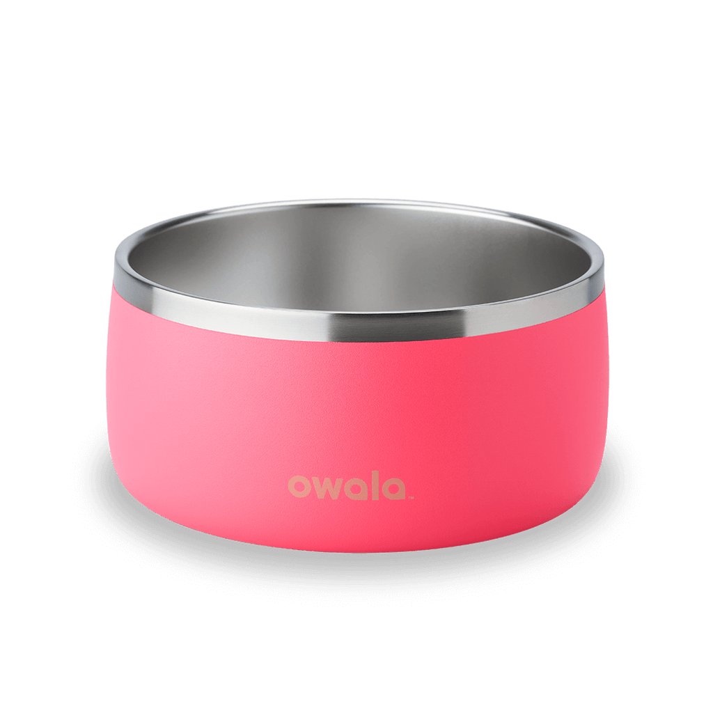 Pet Bowl Water Bottle MB3KQE