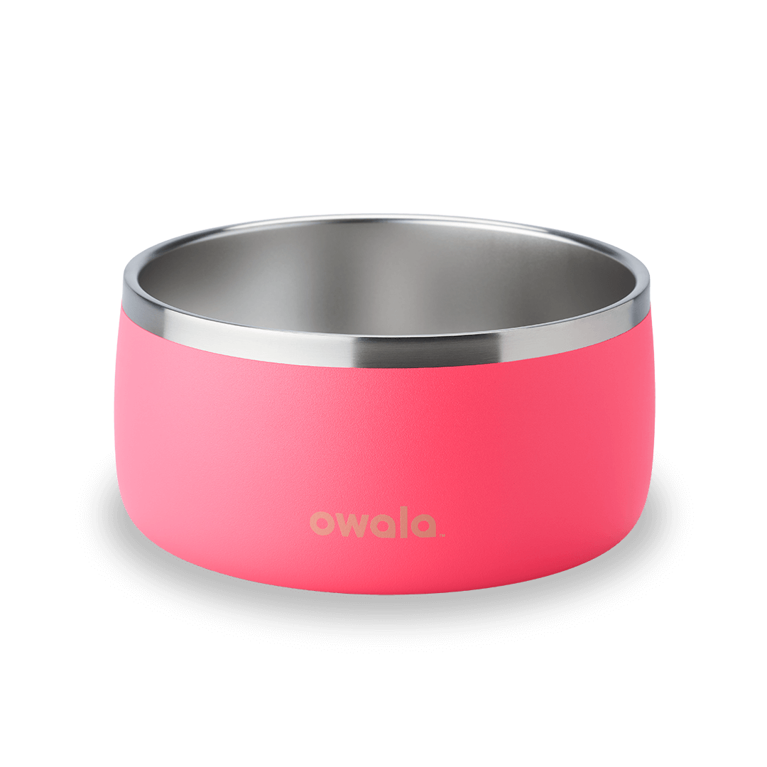 Pet Bowl Water Bottle MB3KQE