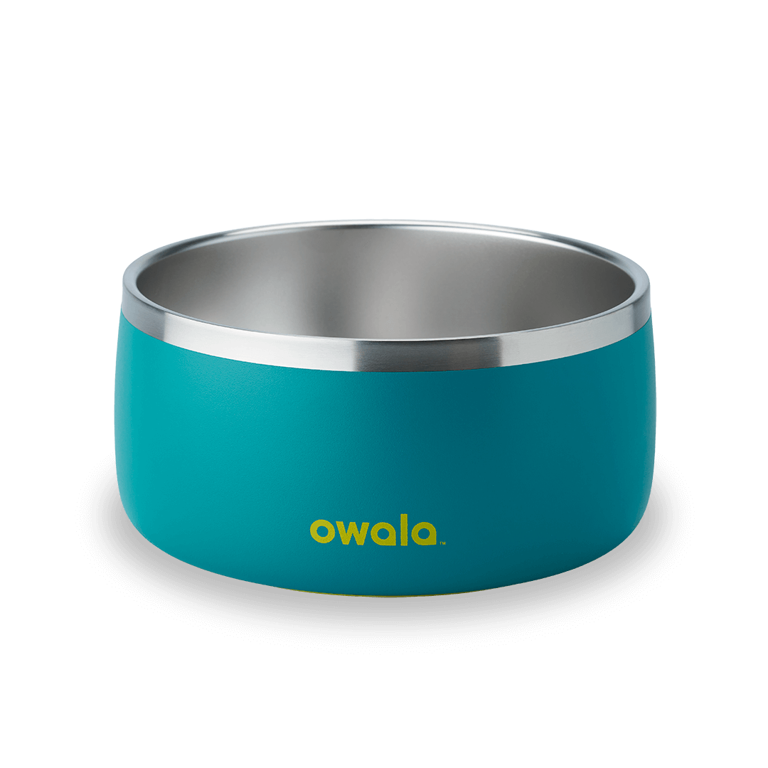Pet Bowl Water Bottle MB3KQE