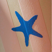 Blue starfish on a pastel wall